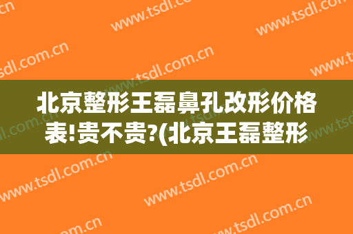 北京整形王磊鼻孔改形价格表!贵不贵?(北京王磊整形医院价格)