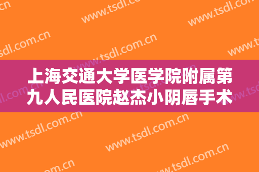 上海交通大学医学院附属第九人民医院赵杰小阴唇手术大楷需要多少费用?有哪些优势?