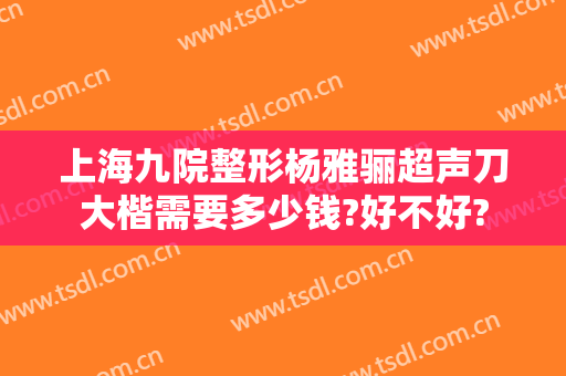 上海九院整形杨雅骊超声刀大楷需要多少钱?好不好?