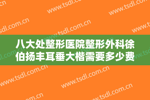 八大处整形医院整形外科徐伯扬丰耳垂大楷需要多少费用?好不好?