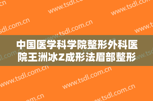 中国医学科学院整形外科医院王洲冰Z成形法眉部整形什么价格?效果怎么样?