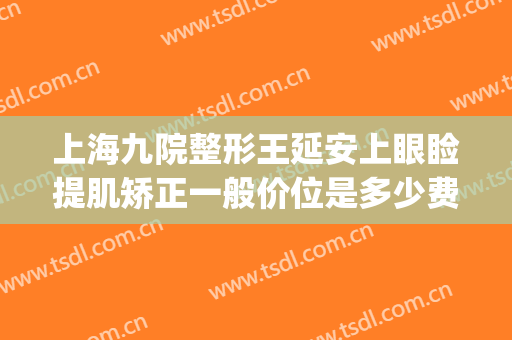 上海九院整形王延安上眼睑提肌矫正一般价位是多少费用?贵不贵?(上海九院做上眼睑下垂要多少钱)
