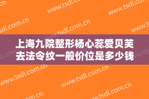 上海九院整形杨心蕊爱贝芙去法令纹一般价位是多少钱?好不好?
