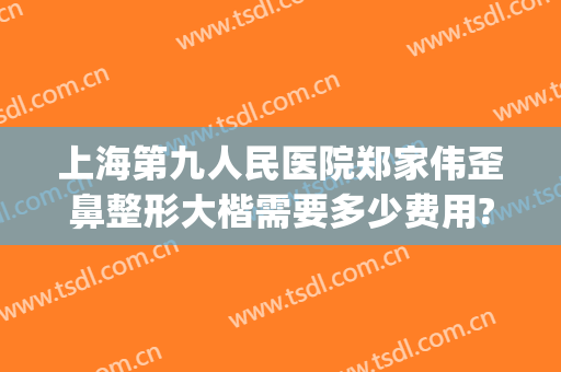 上海第九人民医院郑家伟歪鼻整形大楷需要多少费用?贵不贵?(上海第九医院鼻子整形多少钱)