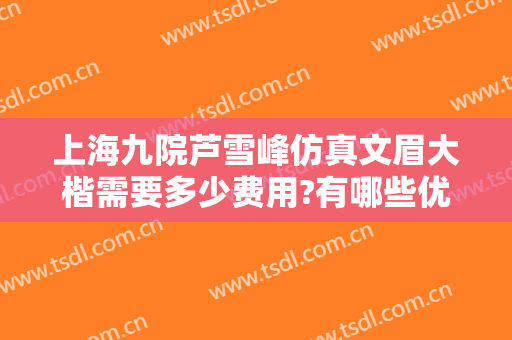 上海九院芦雪峰仿真文眉大楷需要多少费用?有哪些优势?