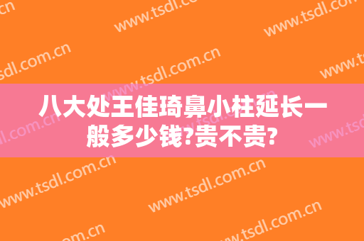 八大处王佳琦鼻小柱延长一般多少钱?贵不贵?