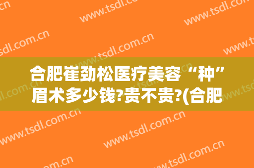 合肥崔劲松医疗美容“种”眉术多少钱?贵不贵?(合肥崔劲松医疗美容医院)
