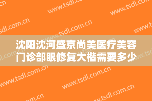 沈阳沈河盛京尚美医疗美容门诊部眼修复大楷需要多少费用?效果怎么样?