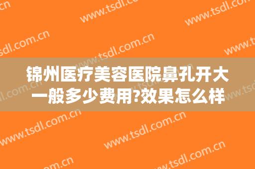 锦州医疗美容医院鼻孔开大一般多少费用?效果怎么样?(锦州医疗美容医院评价)