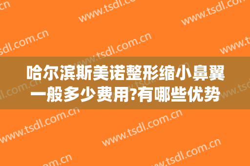 哈尔滨斯美诺整形缩小鼻翼一般多少费用?有哪些优势?(哈尔滨斯美诺整形医院怎么样)