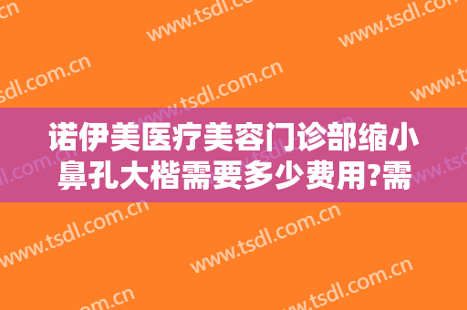 诺伊美医疗美容门诊部缩小鼻孔大楷需要多少费用?需要多久恢复?