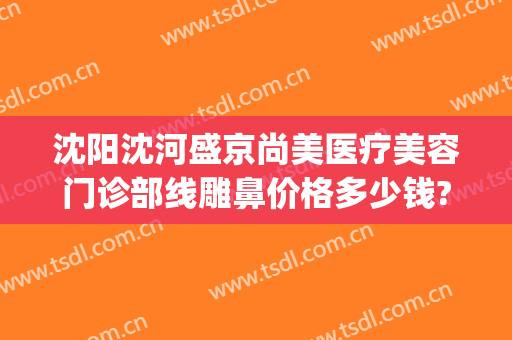 沈阳沈河盛京尚美医疗美容门诊部线雕鼻价格多少钱?怎么样?(沈阳盛京尚美医疗美容医院)