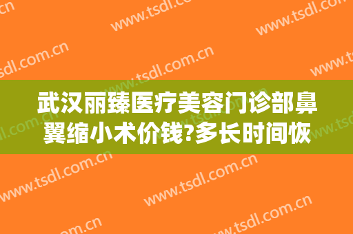 武汉丽臻医疗美容门诊部鼻翼缩小术价钱?多长时间恢复?(武汉鼻翼缩小手术多少钱)