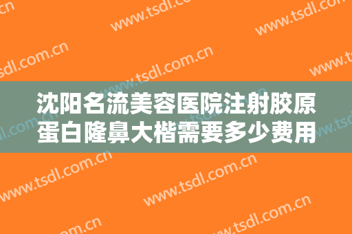 沈阳名流美容医院注射胶原蛋白隆鼻大楷需要多少费用?需要多久恢复?