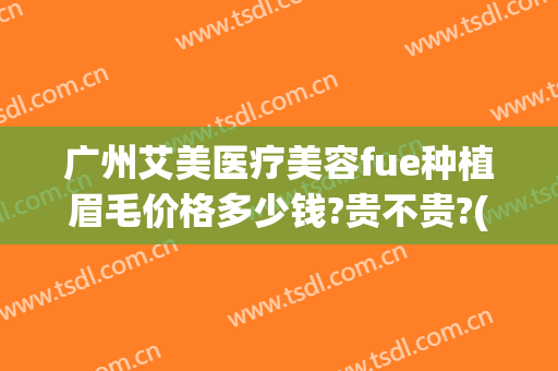 广州艾美医疗美容fue种植眉毛价格多少钱?贵不贵?(广州植眉毛哪家医院好)