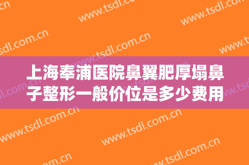 上海奉浦医院鼻翼肥厚塌鼻子整形一般价位是多少费用?有哪些优势?(上海鼻子综合整形最好哪家医院)