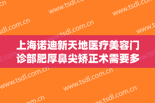 上海诺迪新天地医疗美容门诊部肥厚鼻尖矫正术需要多少钱?贵不贵?(上海诺迪新天地医疗美容电话门诊部)