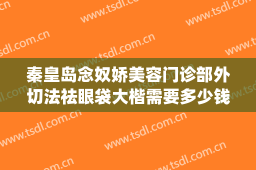 秦皇岛念奴娇美容门诊部外切法祛眼袋大楷需要多少钱?贵不贵?(秦皇岛念奴娇整形医院地址)