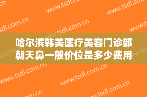 哈尔滨韩美医疗美容门诊部朝天鼻一般价位是多少费用?怎么样?(哈尔滨医美整形哪家好)