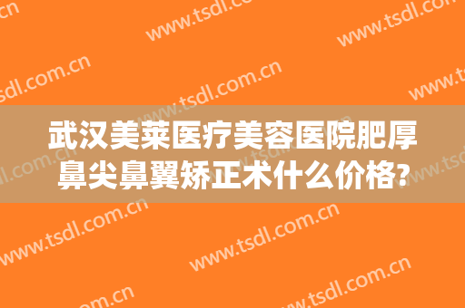 武汉美莱医疗美容医院肥厚鼻尖鼻翼矫正术什么价格?靠谱吗?(武汉缩小鼻翼医院美莱整形)