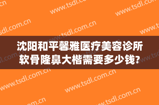 沈阳和平馨雅医疗美容诊所软骨隆鼻大楷需要多少钱?靠谱吗?(沈阳隆鼻好的医生)