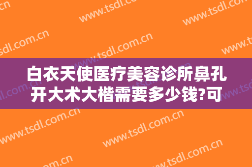 白衣天使医疗美容诊所鼻孔开大术大楷需要多少钱?可靠吗?