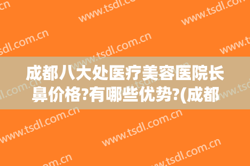 成都八大处医疗美容医院长鼻价格?有哪些优势?(成都八大处隆鼻医生)