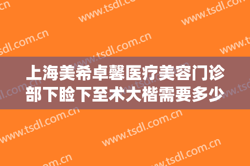 上海美希卓馨医疗美容门诊部下睑下至术大楷需要多少费用?可靠吗?(上海美希卓馨医疗美容怎么样)