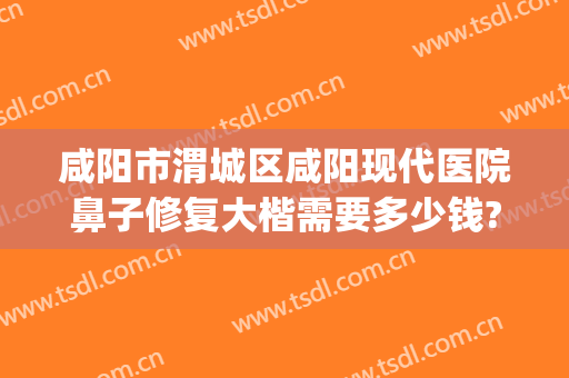 咸阳市渭城区咸阳现代医院鼻子修复大楷需要多少钱?可靠吗?(咸阳整容医院哪家好)