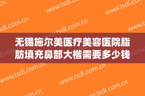 无锡施尔美医疗美容医院脂肪填充鼻部大楷需要多少钱?有哪些优势?(无锡眼部整形整容医院)