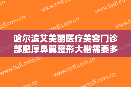 哈尔滨艾美丽医疗美容门诊部肥厚鼻翼整形大楷需要多少费用?贵不贵?