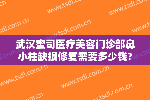 武汉蜜司医疗美容门诊部鼻小柱缺损修复需要多少钱?有哪些优势?