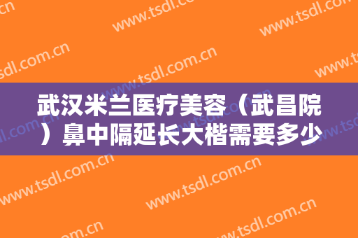 武汉米兰医疗美容（武昌院）鼻中隔延长大楷需要多少钱?多长时间恢复?