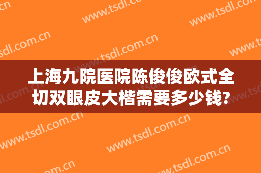 上海九院医院陈俊俊欧式全切双眼皮大楷需要多少钱?好不好?