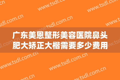 广东美恩整形美容医院鼻头肥大矫正大楷需要多少费用?有哪些优势?(鼻头肥大矫正术)