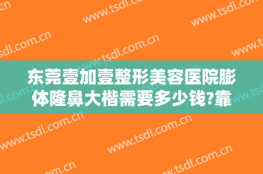 东莞壹加壹整形美容医院膨体隆鼻大楷需要多少钱?靠谱吗?