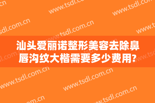 汕头爱丽诺整形美容去除鼻唇沟纹大楷需要多少费用?靠谱吗?