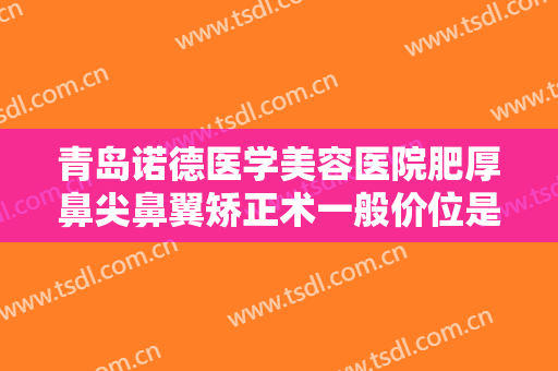 青岛诺德医学美容医院肥厚鼻尖鼻翼矫正术一般价位是多少费用?可靠吗?