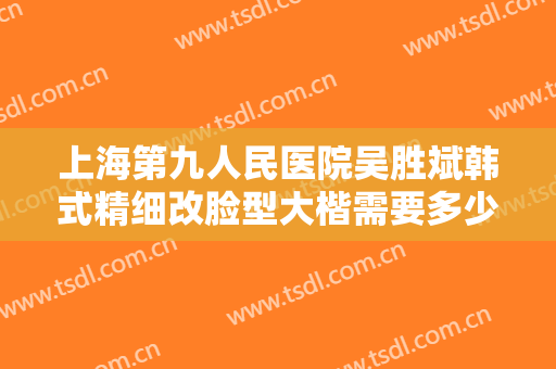 上海第九人民医院吴胜斌韩式精细改脸型大楷需要多少钱?怎么样?