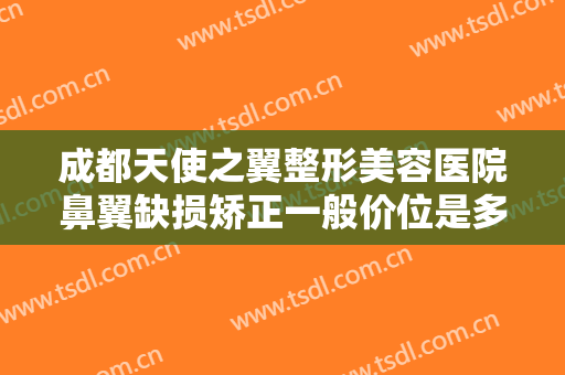 成都天使之翼整形美容医院鼻翼缺损矫正一般价位是多少费用?好不好?
