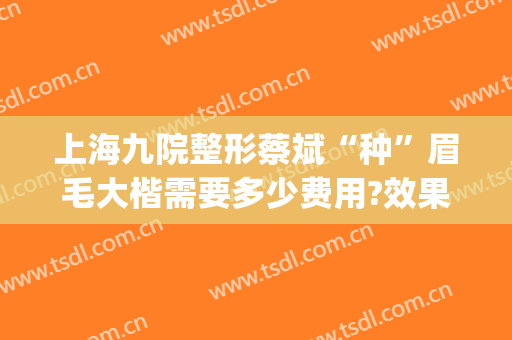 上海九院整形蔡斌“种”眉毛大楷需要多少费用?效果怎么样?(上海九院整形价目表2024,做眉毛)