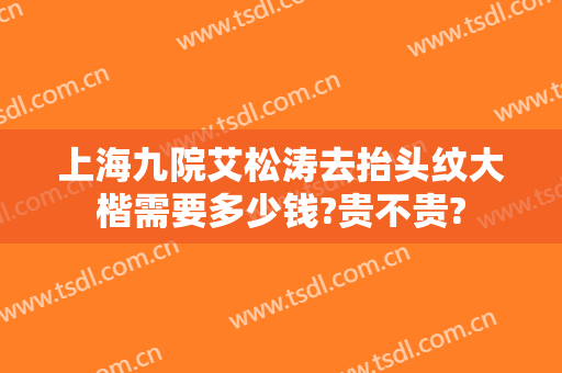 上海九院艾松涛去抬头纹大楷需要多少钱?贵不贵?