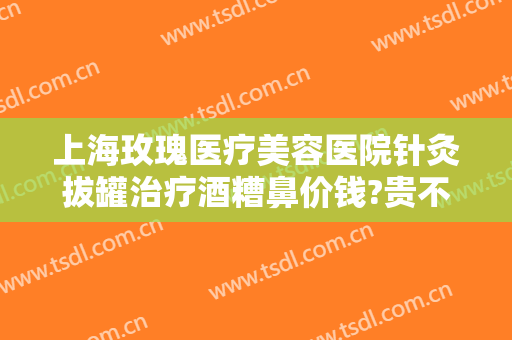 上海玫瑰医疗美容医院针灸拔罐治疗酒糟鼻价钱?贵不贵?