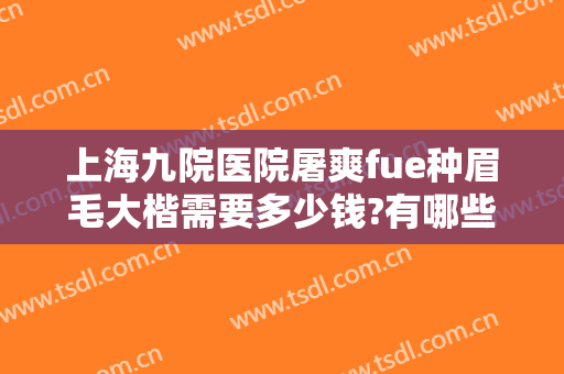 上海九院医院屠爽fue种眉毛大楷需要多少钱?有哪些优势?
