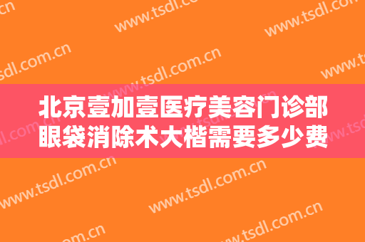 北京壹加壹医疗美容门诊部眼袋消除术大楷需要多少费用?好不好?