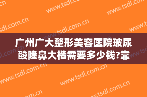 广州广大整形美容医院玻尿酸隆鼻大楷需要多少钱?靠谱吗?(广州广大美容整形医院怎么样)