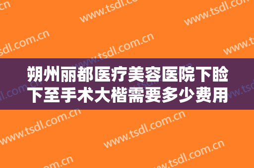 朔州丽都医疗美容医院下睑下至手术大楷需要多少费用?效果怎么样?