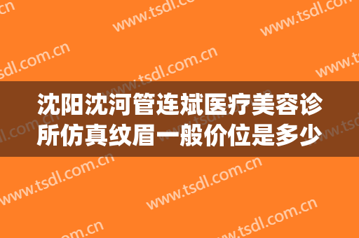 沈阳沈河管连斌医疗美容诊所仿真纹眉一般价位是多少?好不好?(沈阳整形医生管连斌)