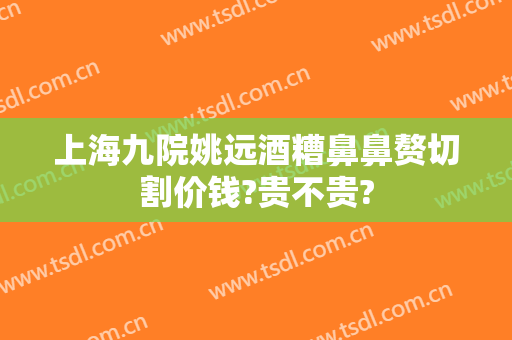 上海九院姚远酒糟鼻鼻赘切割价钱?贵不贵?