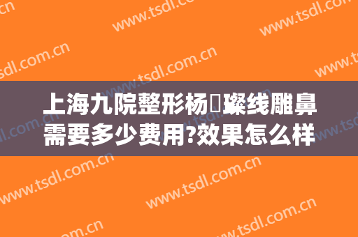 上海九院整形杨珵璨线雕鼻需要多少费用?效果怎么样?(做线雕鼻大概多少钱)